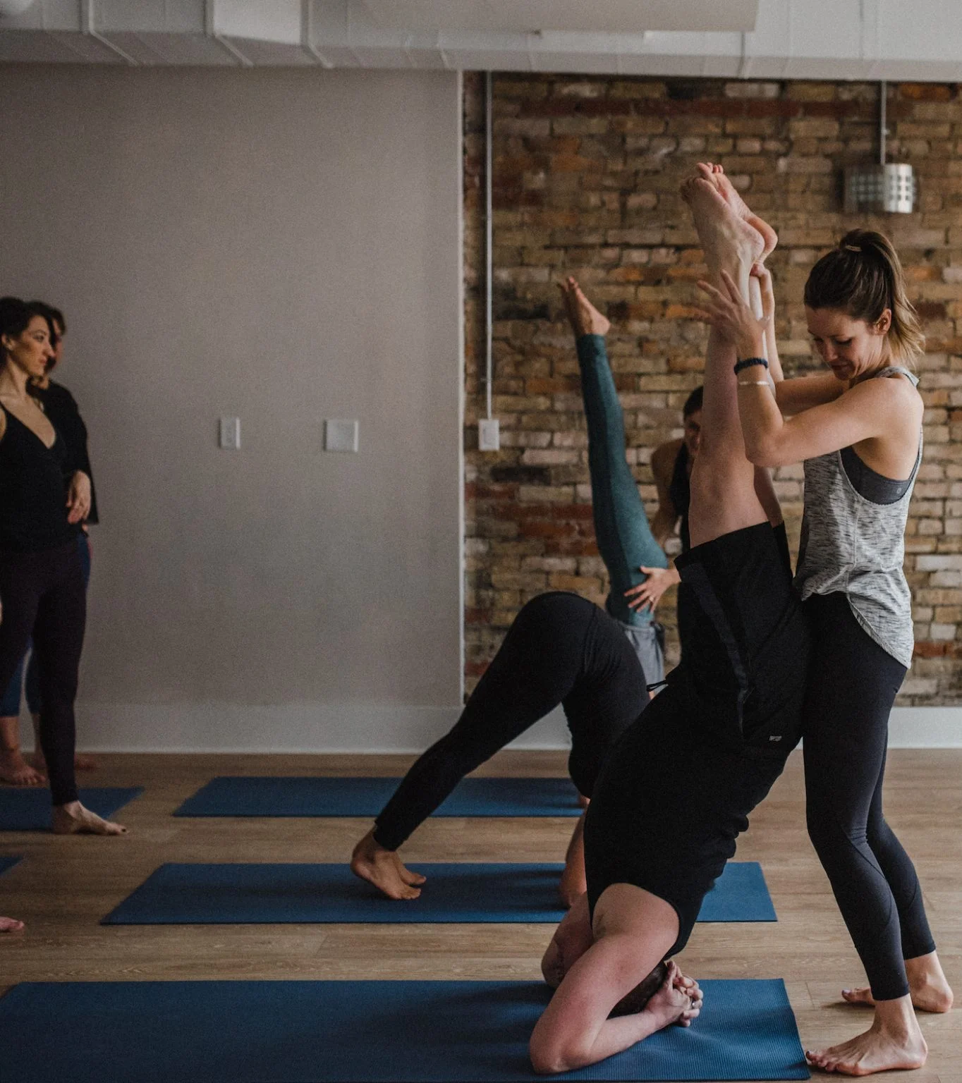Toronto 200HR Yoga Training  Downtown Toronto Yoga Studio